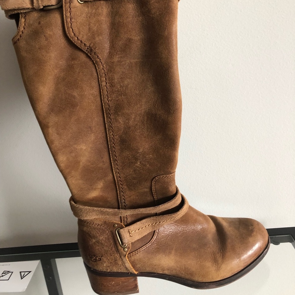 UGG Darcie riding boot
